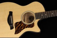 Taylor 50th Anniversary Builder's Edition 314ce - NA