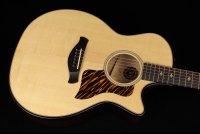 Taylor 50th Anniversary Builder's Edition 314ce - NA