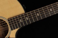 Taylor 50th Anniversary Builder's Edition 314ce - NA