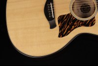 Taylor 50th Anniversary Builder's Edition 314ce - NA