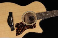 Taylor 50th Anniversary Builder's Edition 314ce - NA