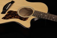 Taylor 50th Anniversary Builder's Edition 314ce - NA