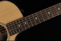 Taylor 50th Anniversary Builder's Edition 314ce - NA