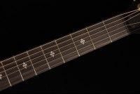 Taylor 50th Anniversary Builder's Edition 314ce - NA