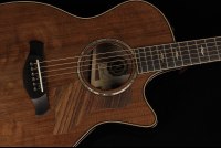 Taylor 50th Anniversary Builder's Edition 814ce