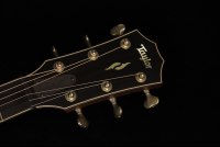 Taylor 50th Anniversary Builder's Edition 814ce