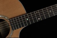 Taylor Legacy 714ce