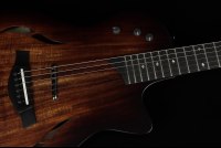 Taylor T5z Classic Koa