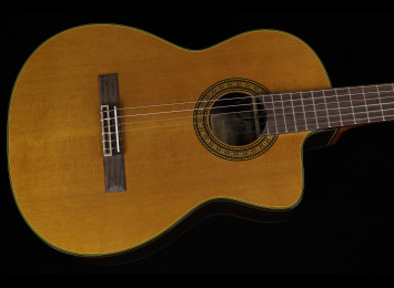 Takamine TC132SC