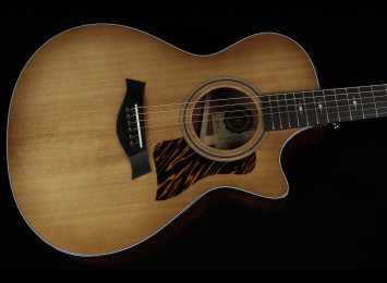 Taylor 50th Anniversary 312ce